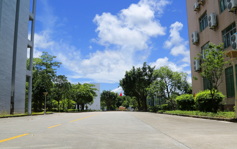 校道d.jpg
