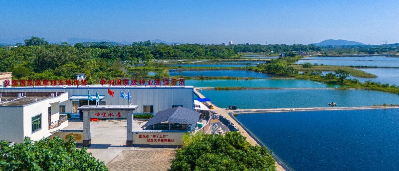 1785046639554429.jpg 沙扒镇恒生水产养殖专业合作社(1).jpg